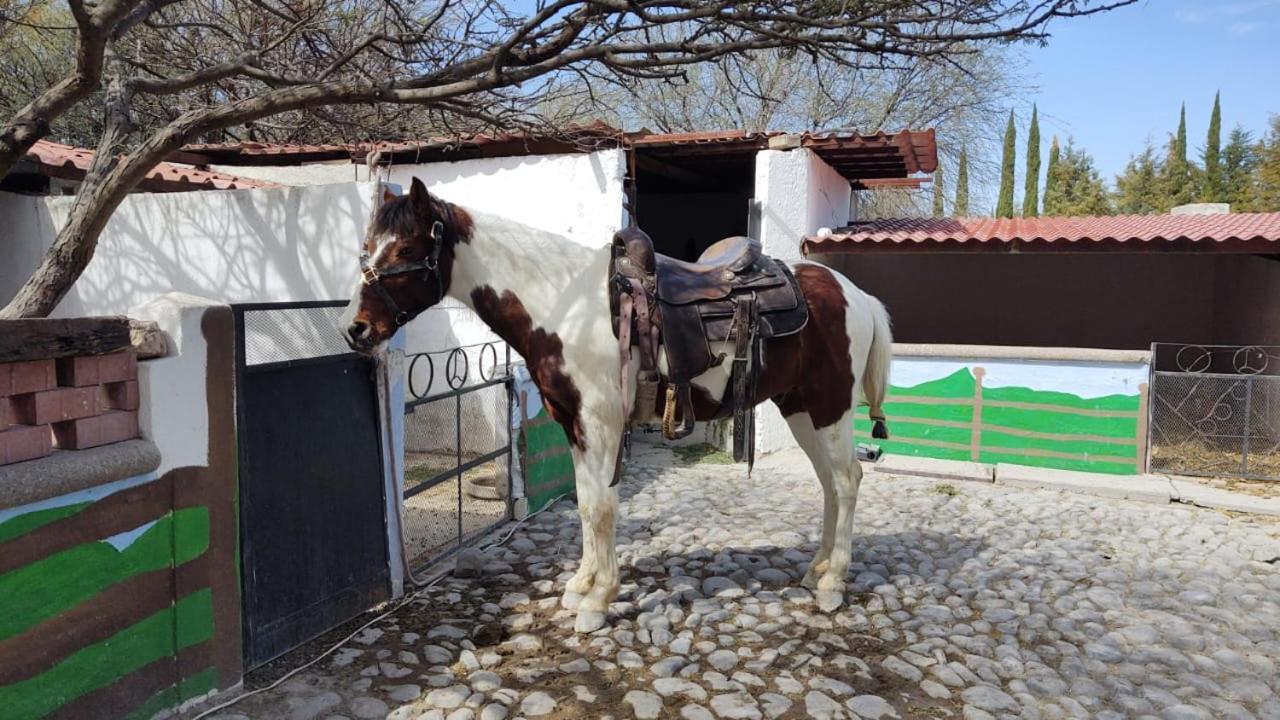 Rancho Labradores Atotonilco  Luaran gambar