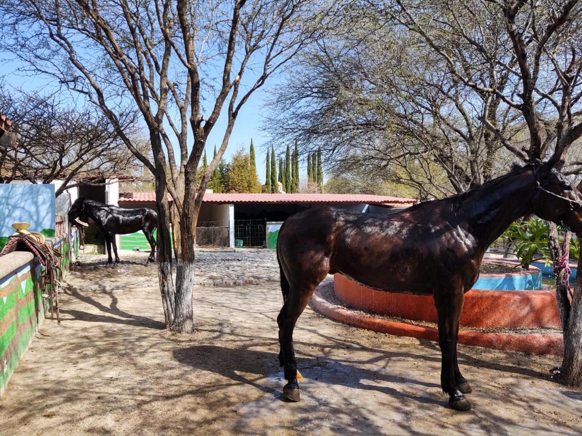 Rancho Labradores Atotonilco  Luaran gambar
